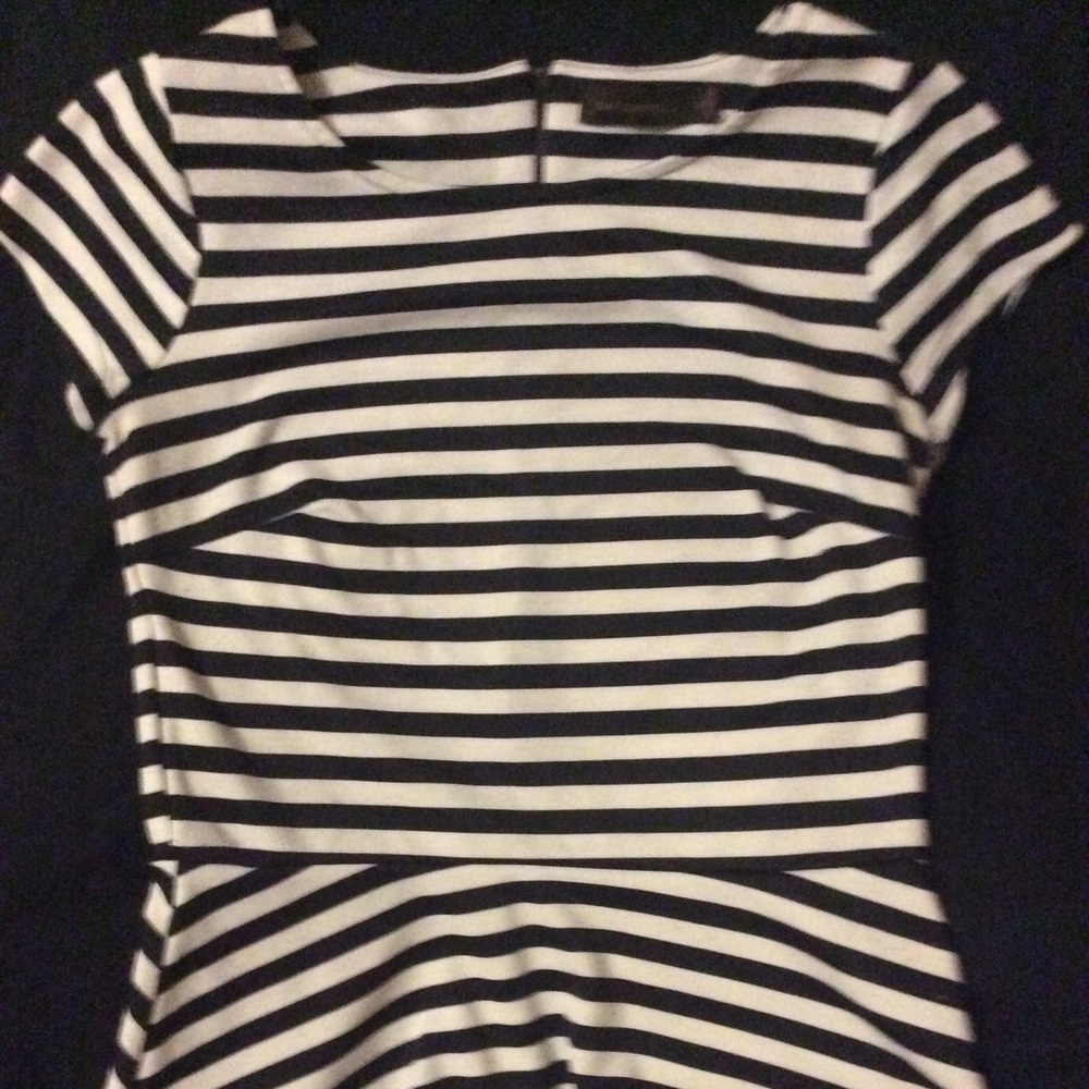 The Limited Skirt Shirt